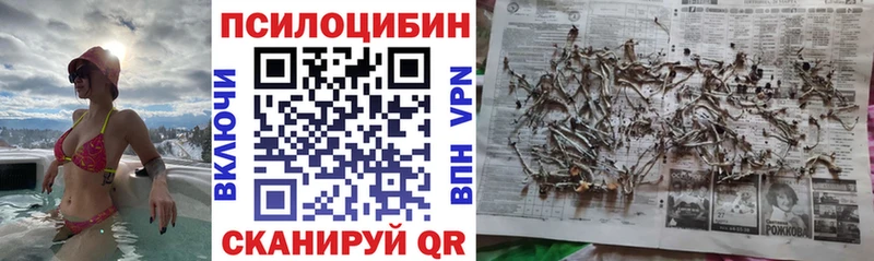 где купить наркоту Клин Галлюциногенные грибы Cubensis