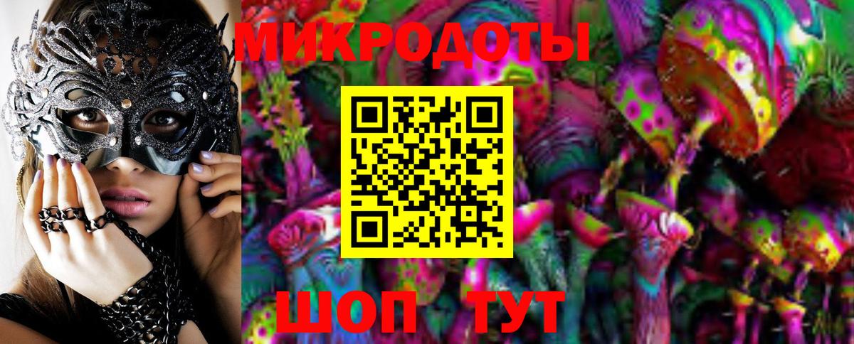 Галлюциногенные грибы Psilocybe Клин