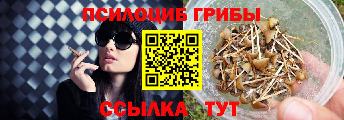Галлюциногенные грибы Magic Shrooms  Галлюциногенные грибы Psilocybe  Вход с VPN  Клин 